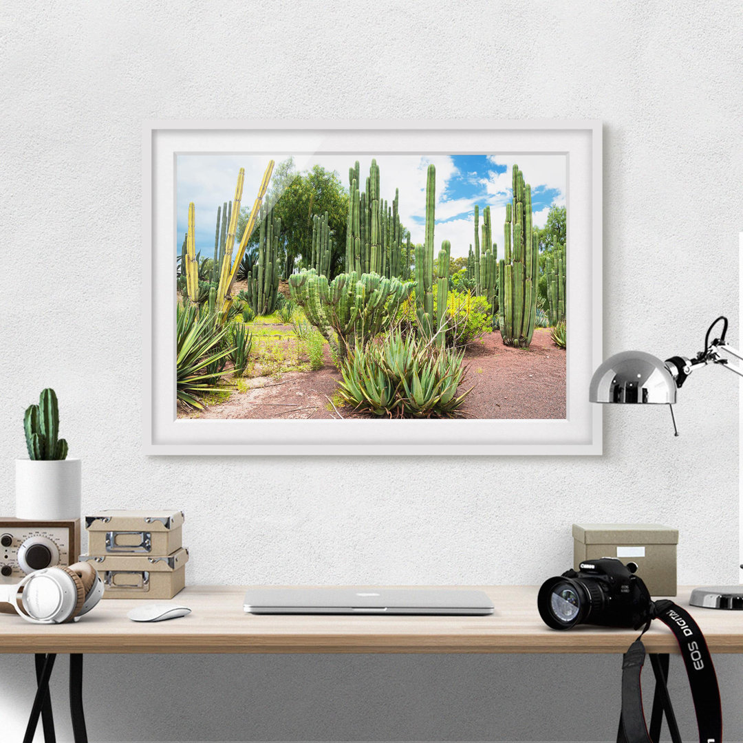 Gerahmtes Poster Cactus Landscape