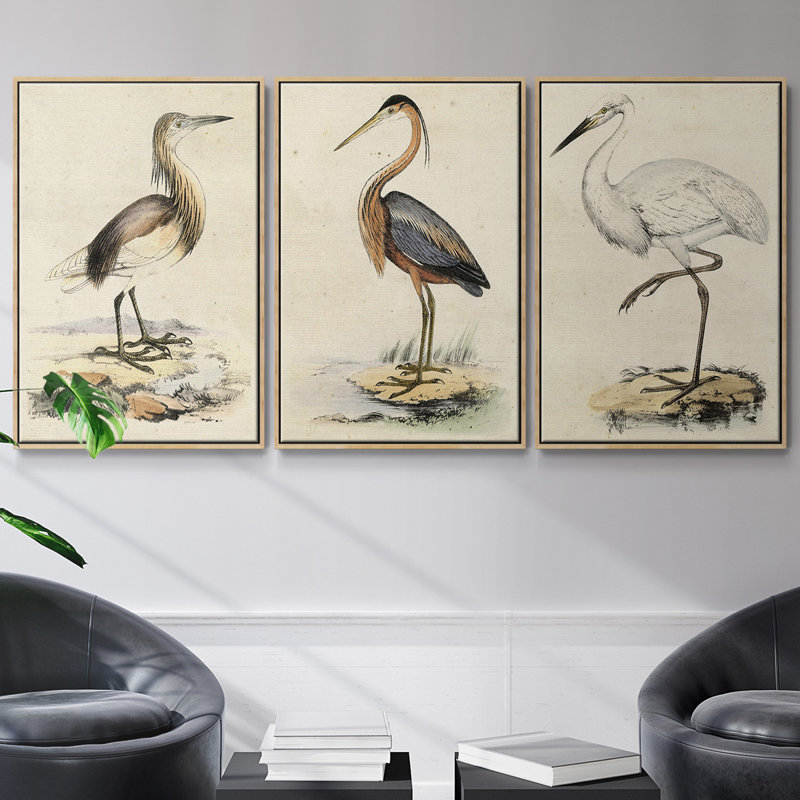 Antique Heron I, ensemble de 3 toiles encadrées sur toile, H 36 po x l 72 po, Naturel