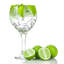 Rink Drink - Gin Cocktail Shaker - 645ml