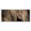 Great Elephant Print-62545757-62545758