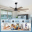 Ventilateur de plafond 8 pales avec télécommande-277424780-320108212