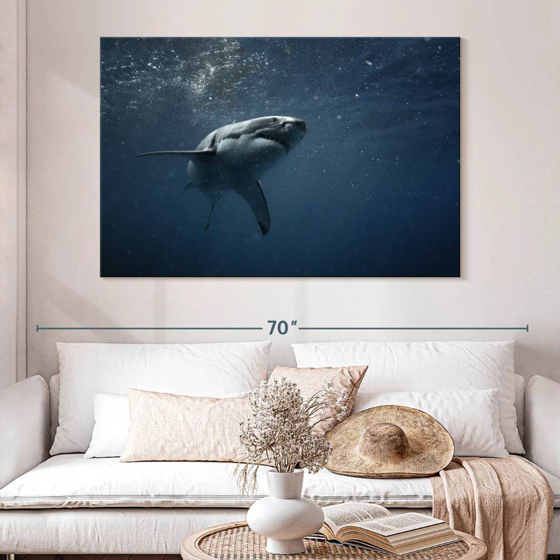 Brampt Great White Shark, 34" H x 51" W