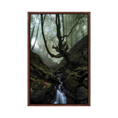 Mystic Wood by Fabio Antenore - Print on Canvas