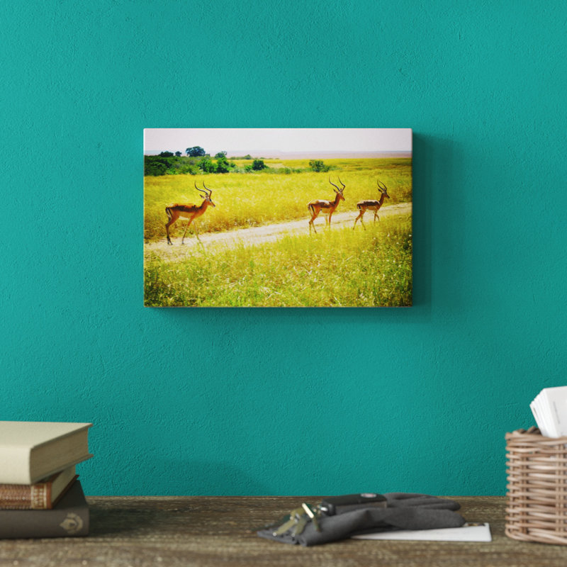 African Plains I by Golie Miamee - Print on Canvas, 61cm H x 91cm W, Wrapped Canvas