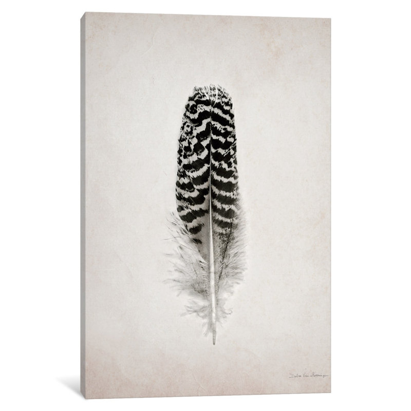 Plumes, impression sur toile tendue, H 12 po x l 8 po x P 0,75 po