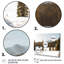 «Winter Alaskan Beauty I» sur toile-474987688-474987690