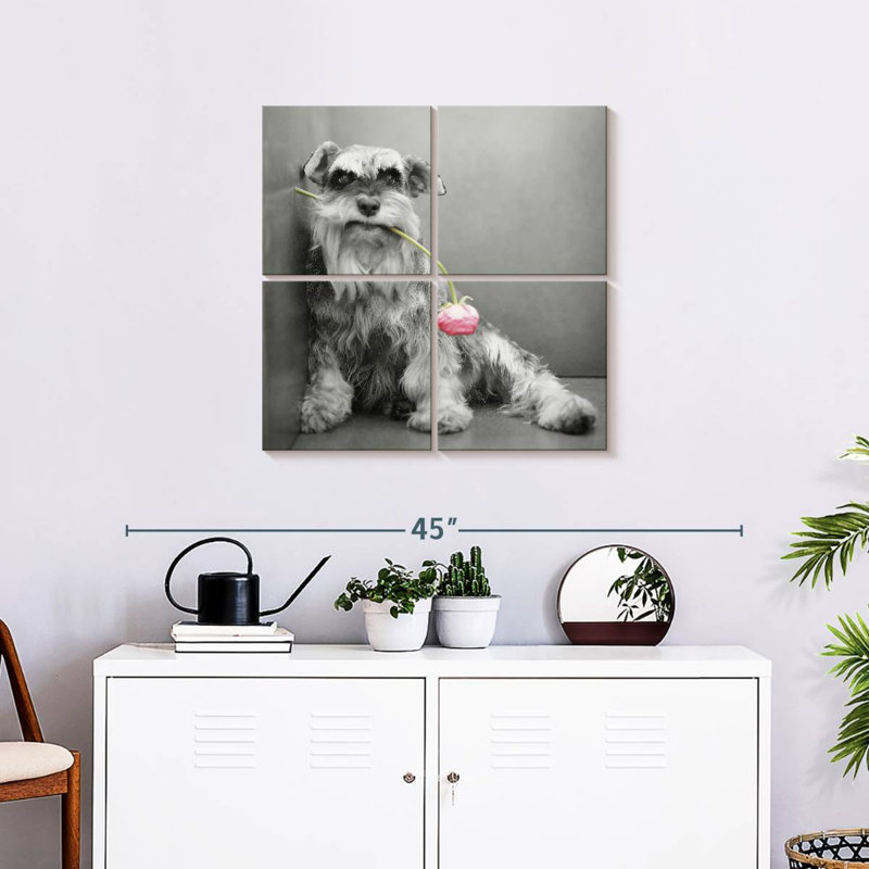 Brampt Ziggy BW, 26" H x 26" W