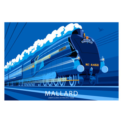 Mallard by Stephen Millership - Print