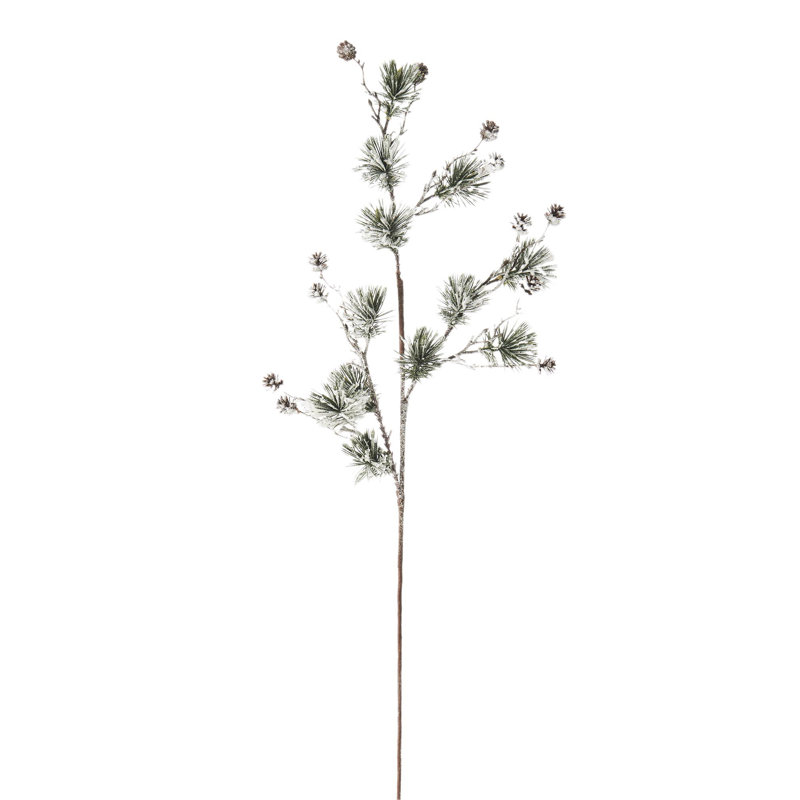 Arrangement