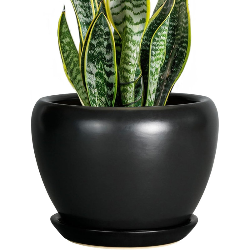 Pot à fleurs 8 "en céramique avec trou de drainage et soucoupe noir