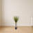 Yucca Artificial Tree