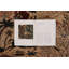 Rare Oversized Antique European Rug With Pictorials & Medallions - Rug & Kilim
