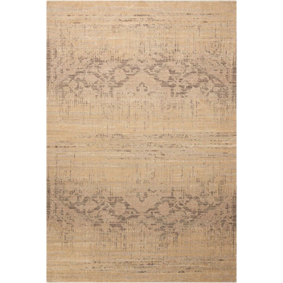 Indoor Rug