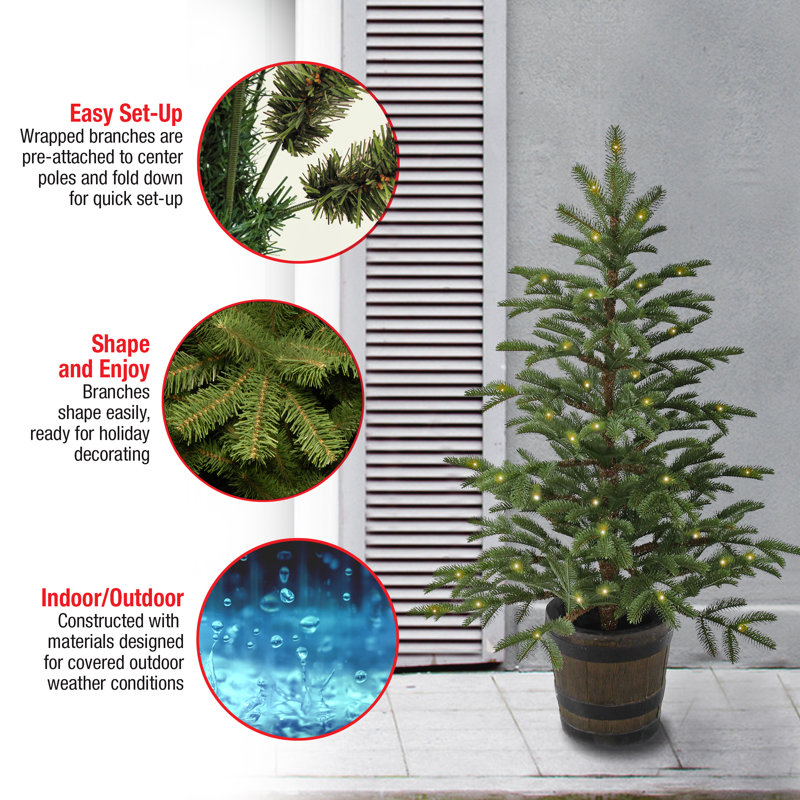 Norwegian 4' Green Spruce Artificial Christmas Tree with 100 Clear Lights