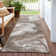Machine Washable Indoor/Outdoor Cinead ACN1706 Taupe Rug