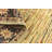 Nemec Beige Rug