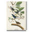 "Pl 74 Indigo Bird", reproduction d’art sur toile-1047507983