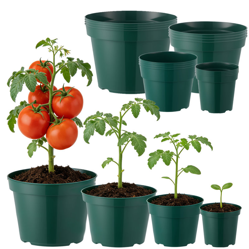 Paquet de 16 pots de chambre de bébé vert 4/6/8/10 po, en plastique épaissi avec drainage, intérieur / extérieur