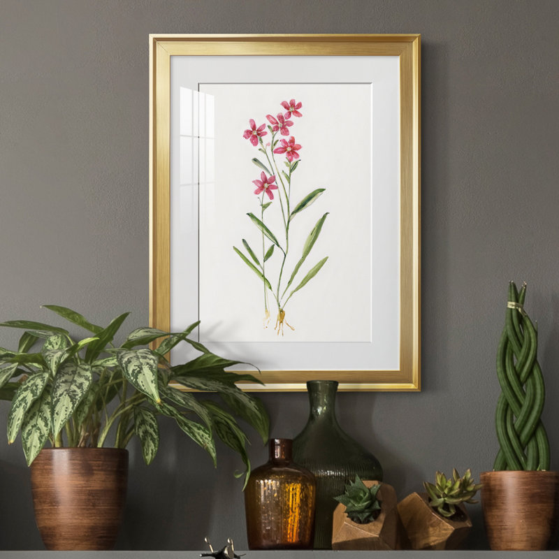 Delicate Pink II - peinture encadrée, Or, H 22,5 po x l 30,5 po x P 1,5 po