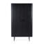 Remi Solid Wood Accent Cabinet-240808901