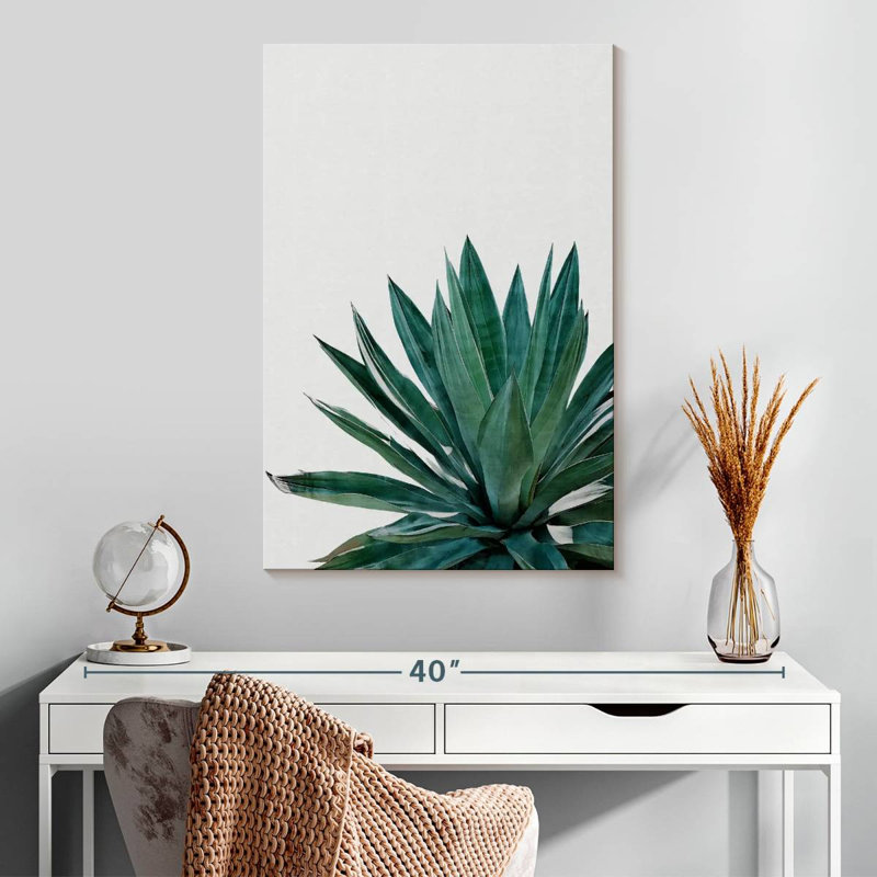 Harnek Agave Cactus, 30" H x 20" W