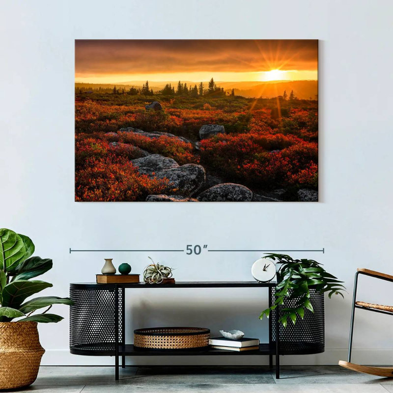 Alvord Dolly Sods Sunset, H 32 po x l 48 po