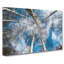 Birch Tree Forest Vol.3 - Wrapped Canvas Painting-61848095