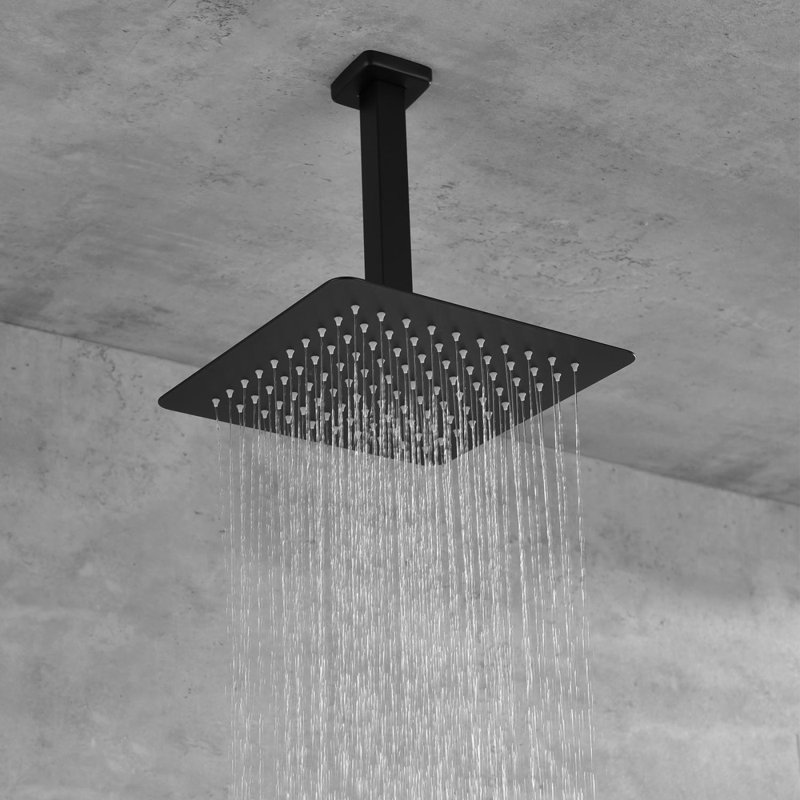 Système de pomme de douche 12 po, Noir mat