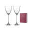 1ml Crystal Drinking Glass