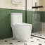 Toilette monobloc allongée au sol 1,1 / 1,6 GPF, certifiée CUPC, certifié Watersense, céramique, couleur blanche, siège à fermeture en douceur