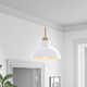 Ozma Single Light Dimmable Pendant