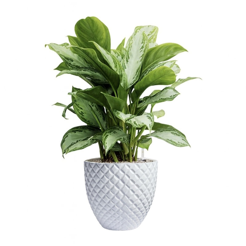 Pot à fleurs fait à la main Winderst, H 14 po x l 16 po x P 16 po, Blanc