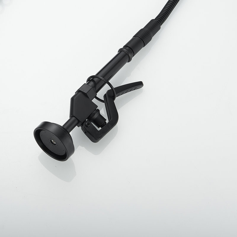 VIBRANTBATH Pull Down Kitchen Faucet, Matte Black