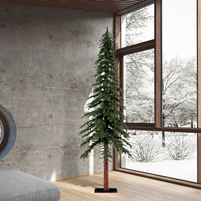 Arbre de Noël pin alpin