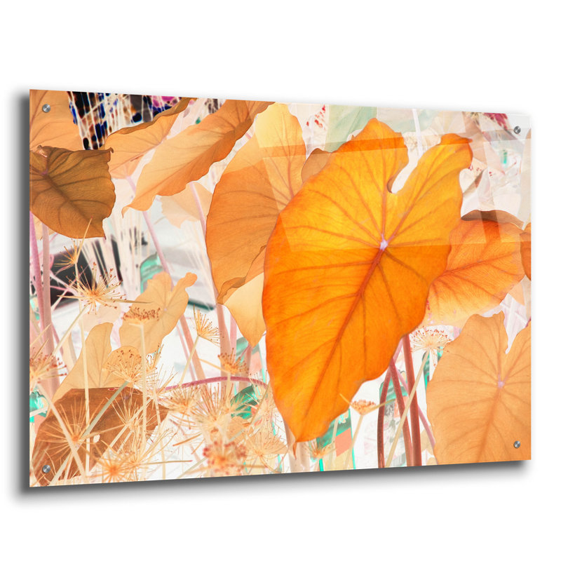 «Elephant Ears» par Judy Stalus, H 24 po x l 36 po x P 0,2 po