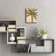 Art mural en verre Bay «Royal Palm II» par NBL Studio, Bay Isle Artome ™-1746448782