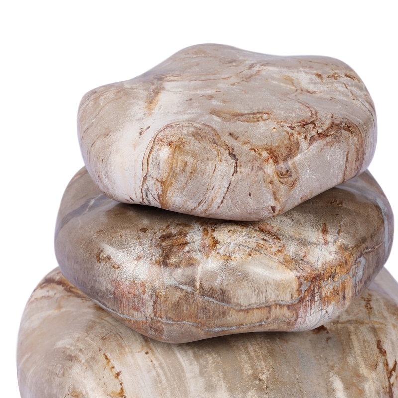 Petrified Wood Organic Sculpture, Light Brown