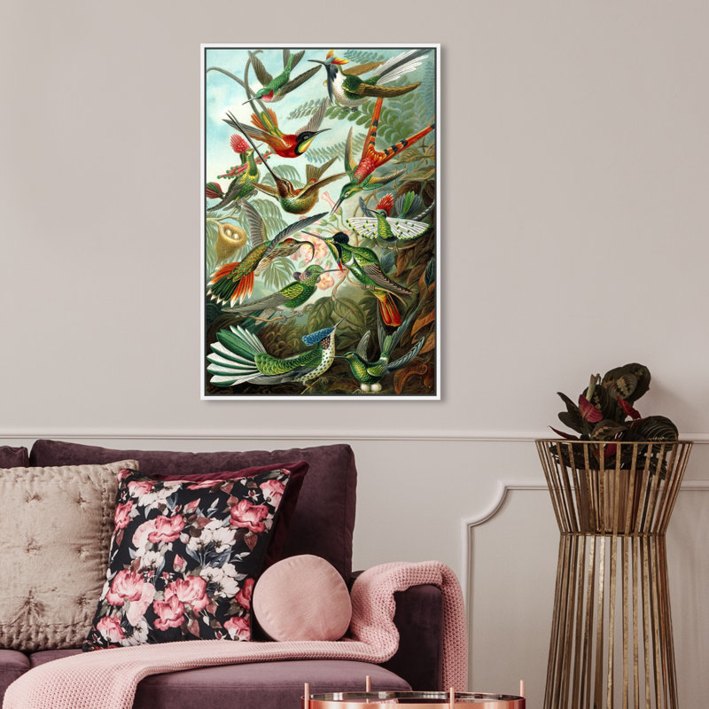 " Haeckel - Bird Study ", White Framed Canvas, 36" H x 24" W
