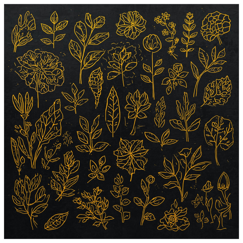 Coussins décoratifs Golden Botanical Illustration, 14 X 14 pouces