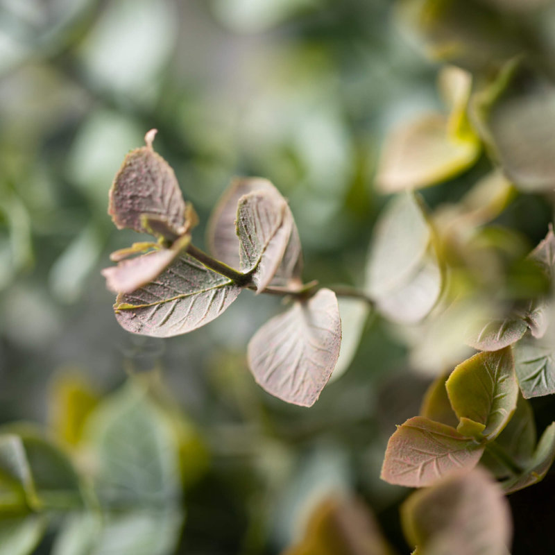 Ensemble de 3 buissons d'eucalyptus artificiel 13 po