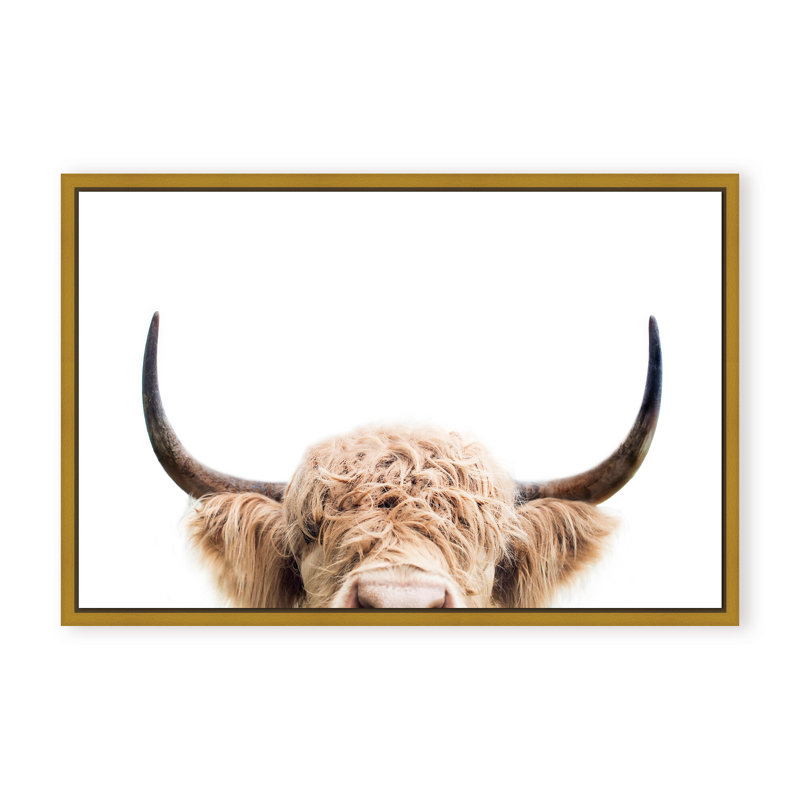 Nature Inspired Peeking Cow by  - Picture Frame Photograph on Paper, 16" H x 24" W x 1.125" D, Framed Print, Gold