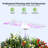 NANAN Hydroponic Unit