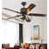 Wauconda 52'' Ceiling Fan