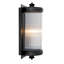 Glorious 1 - Light Flush Mounted Sconce-62068747