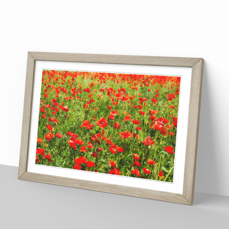 Field of Poppies Vol.2 - Framed Print, 27cm H x 36cm W x 2cm D, Oak Framed