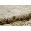 Chantel Oriental Area Rug