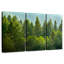 Alvord Lush Green Pine Trees-106052389