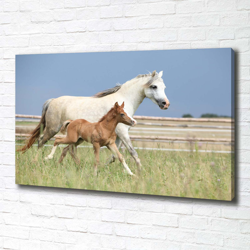 Mare With Foal - Wrapped Canvas Print