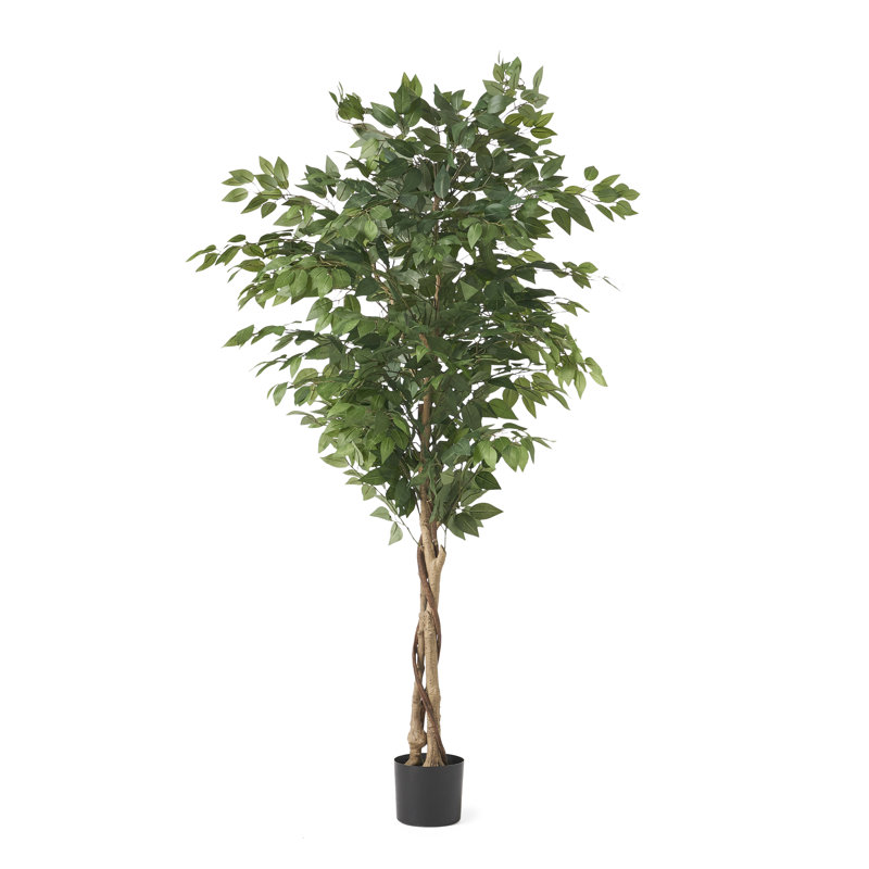 Faux ficus en pot, H 71 po x l 31,5 po x P 31,5 po