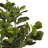 Artificial Fiddle Leaf Fig Tree In Plastic Nursery Pot-297294827
